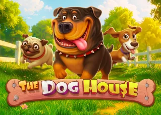 maco24 The Dog House ทดลองเล่นฟรี